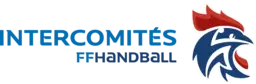 Inter-comités