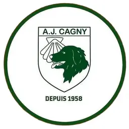 AVENIR JEUNESSE CAGNY (F)