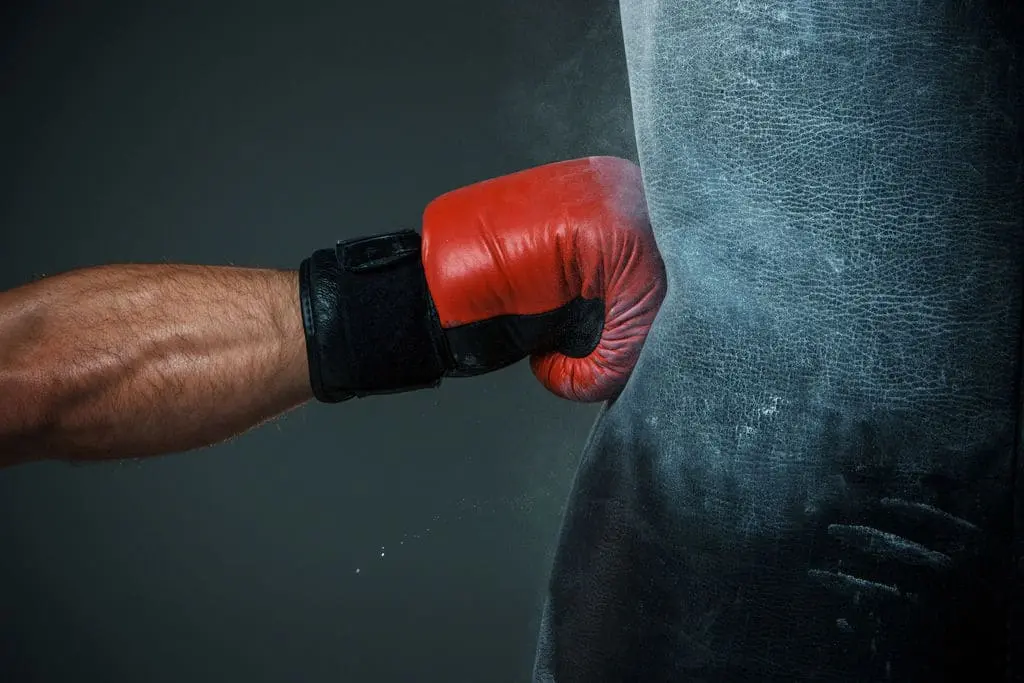 Boxe Amateur